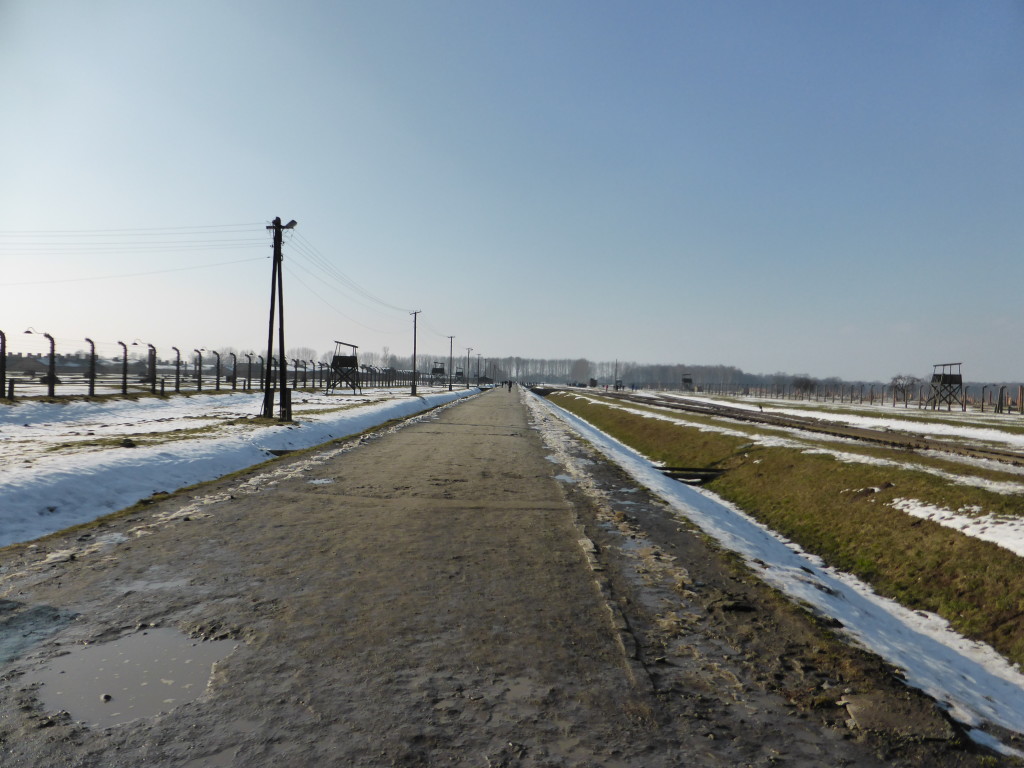 The size and scale of Birkenau is hard to imagine