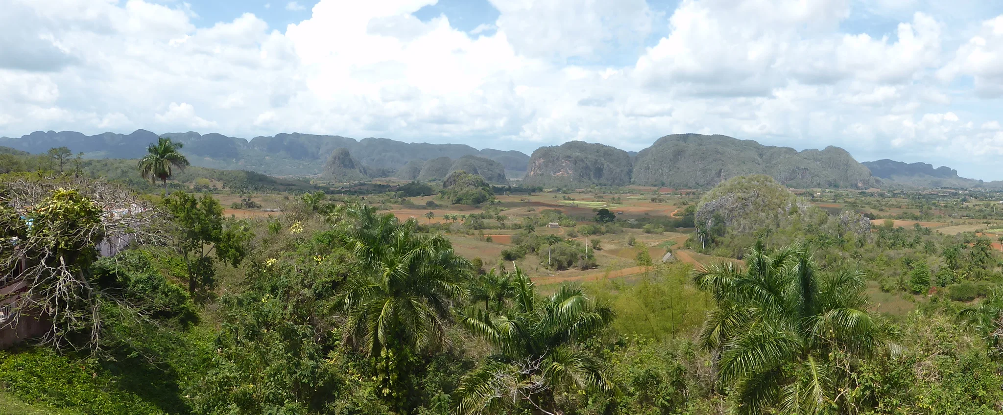 Tobacco Farm and Town Carnival in Viñales