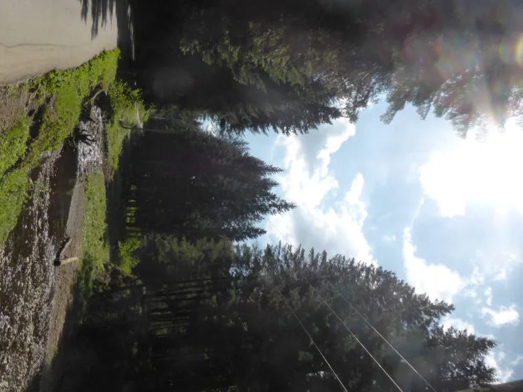 The start of the trail