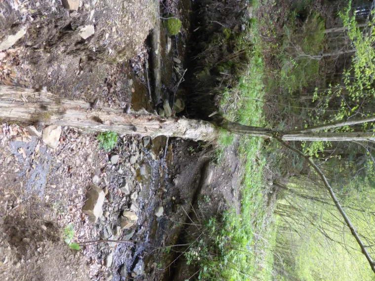 And a less sturdy crossing