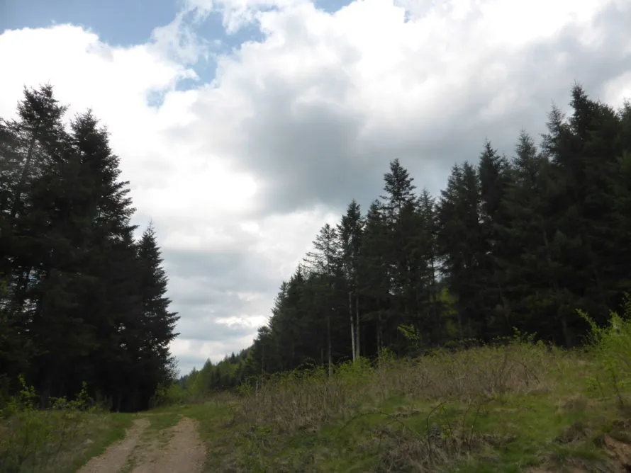 More open and spacious walking