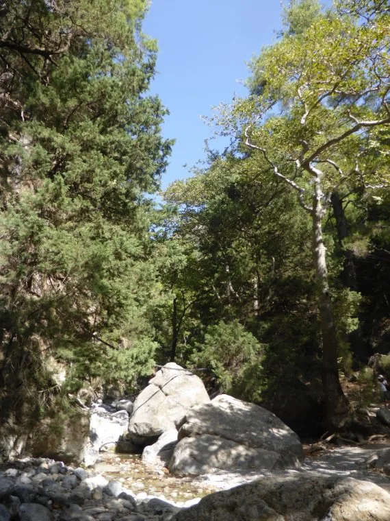 At the bottom of the gorge