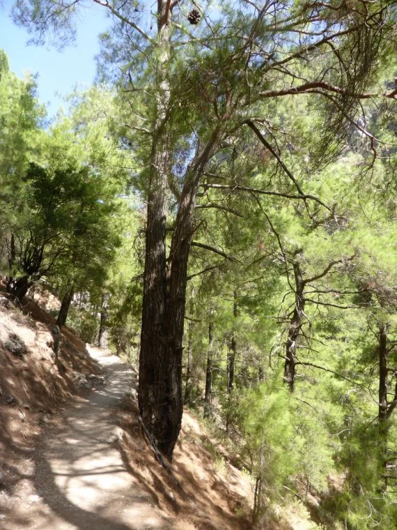 One of the easier parts of the hike