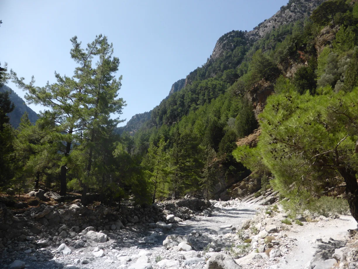 One of the more open parts of hike