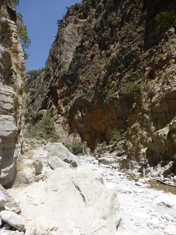 A little stream runs in the gorge