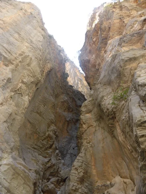 The gorge!