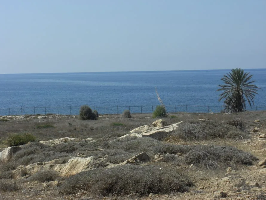 The west coast of Cyprus