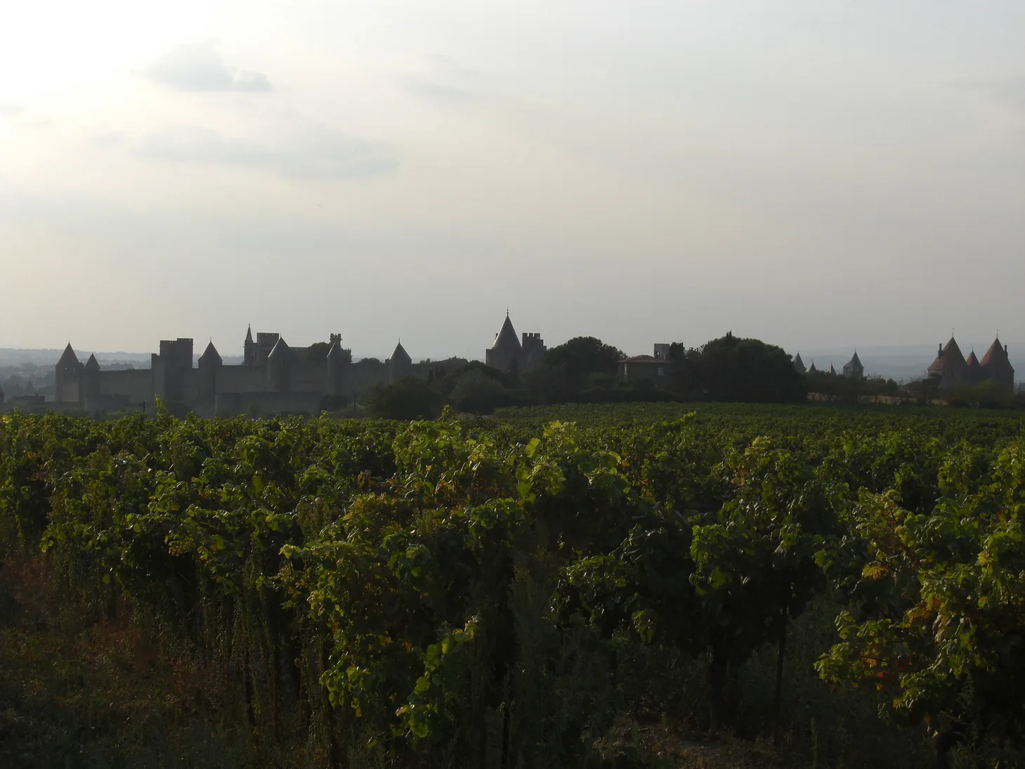 Cité de Carcassonne