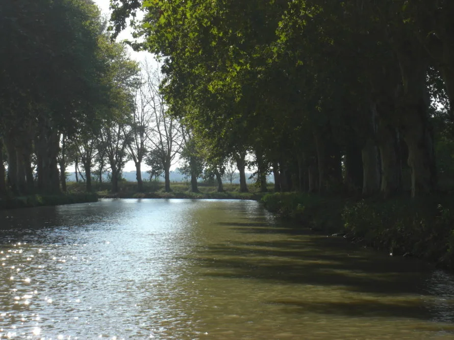 Canal du Midi boat trip
