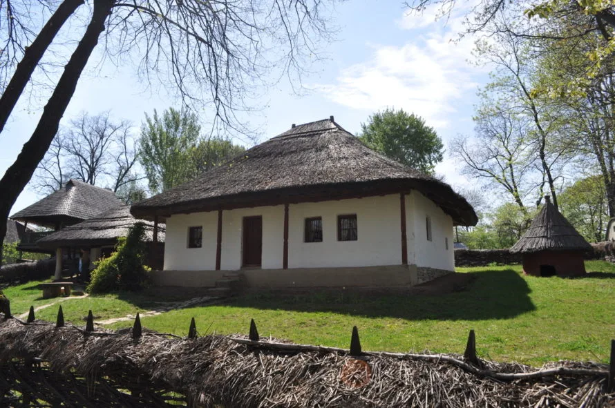 Old thatched roof