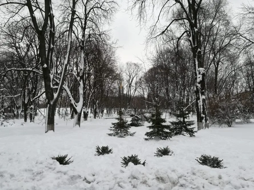 It wouldn't be Christmas in Kyiv without snow!